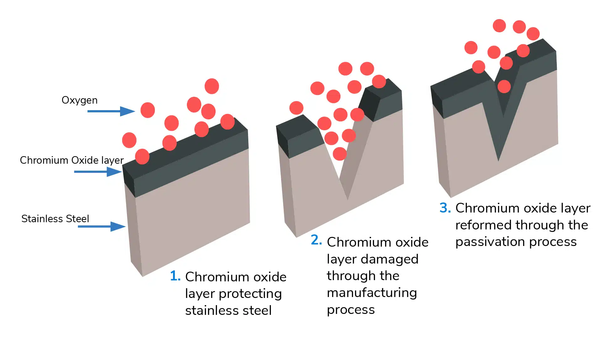 Diagram of the passive layer on Inox steel, showing chromium atoms reacting with oxygen to form a protective chromium oxide shield.